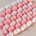 crochet blanket stitch shellfish